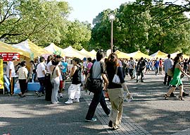 Festival Brasil Matsuri - Tóquio
