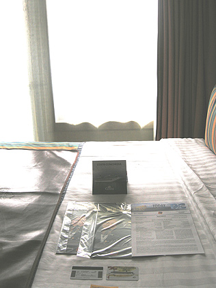 Emoções em Alto Mar 2010: Chegada no Navio