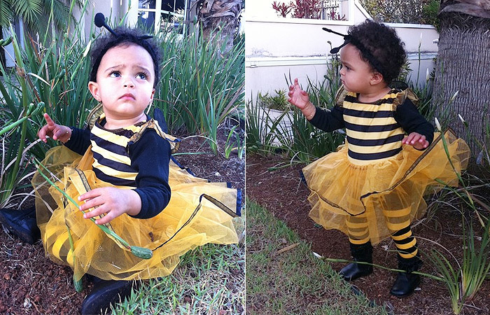 Luciele di Camargo publica foto da filha fantasiada de abelha