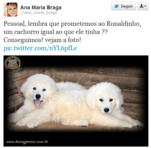 Ana Maria Braga dá filhote de cachorro para Ronaldinho Gaúcho