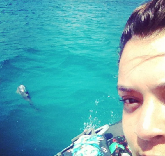 Preta Gil se encanta com golfinhos em Fernando de Noronha