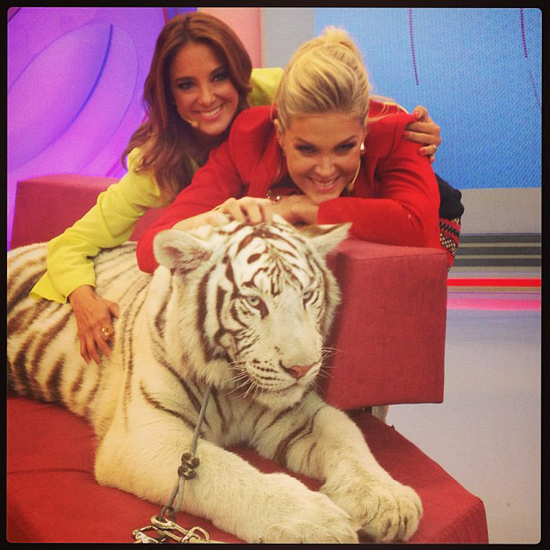 Corajosas, Ana Hickmann e Ticiane Pinheiro posam com tigre branco