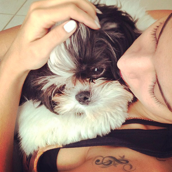 Anitta mostra foto carinhosa com seu cachorro Alfredo