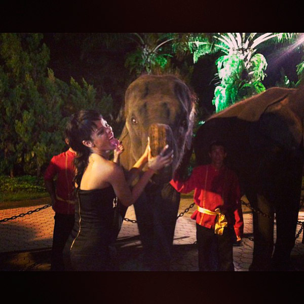 Rihanna brinca com elefantes na Tailândia