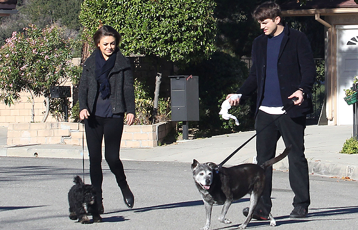 Mila Kunis e Ashton Kutcher levam os cães para passear
