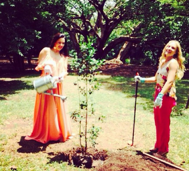 Claudia Raia planta árvore com Angélica