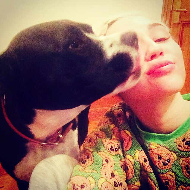 Depois da morte de um de seus pets, Miley Cyrus faz selfie com Mary Jane, sua outra cadela