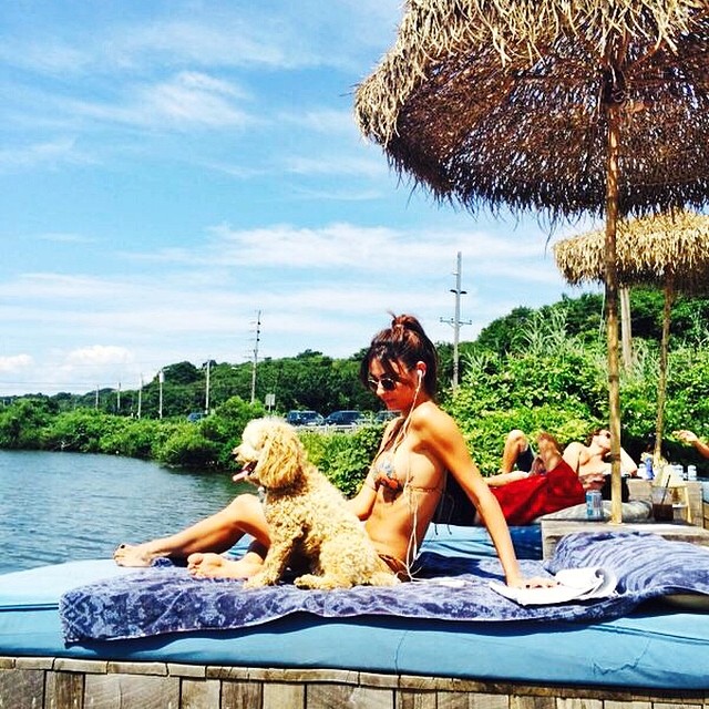 De férias, Thaila Ayala posa com pet enquanto curte praia