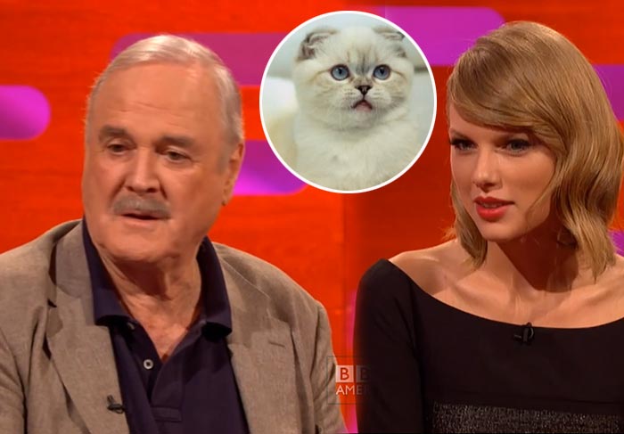 Vídeo! Ator insulta gato de Taylor Swift e cantora fica chocada