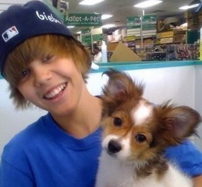 Justin Bieber lamenta a morte do cachorro nas redes sociais