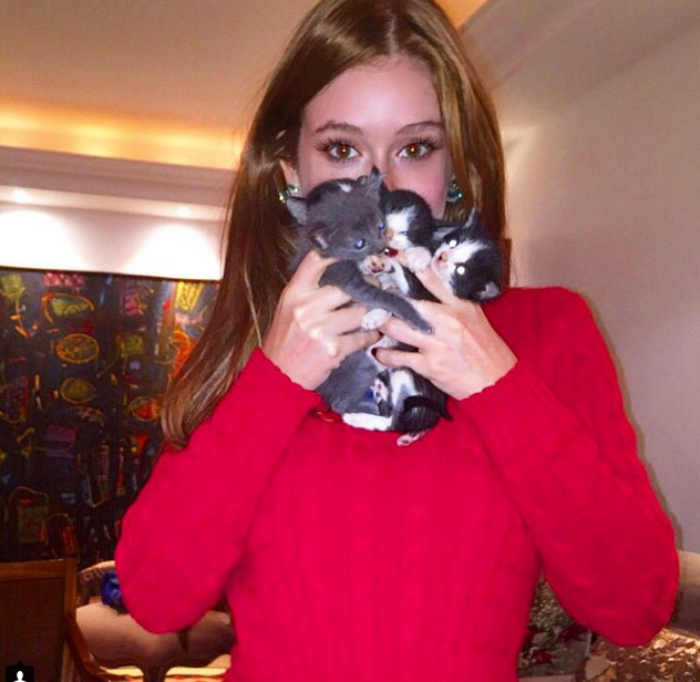 Marina Ruy Barbosa resgata gatinhos e pede ajuda em adoção