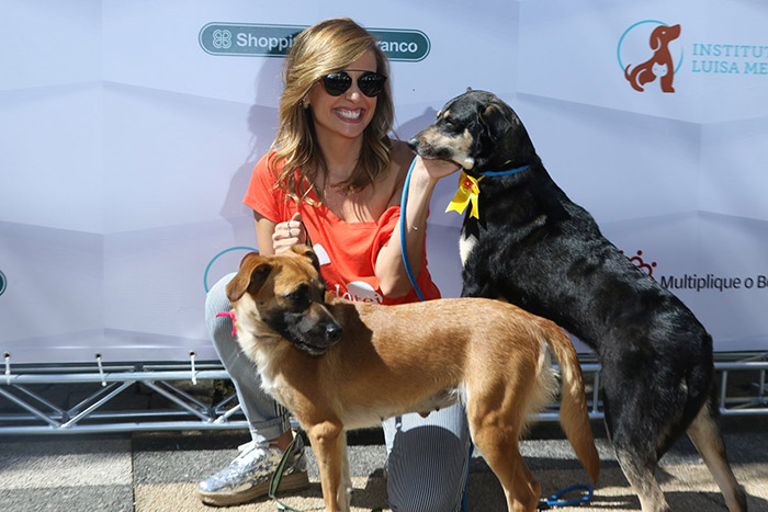 Luisa Mell esbanja simpatia em feira de adoção de cães e gatos