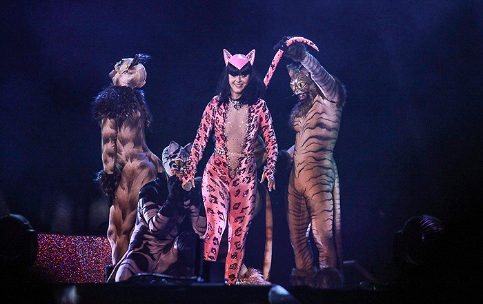 Katy Perry com roupa de gato