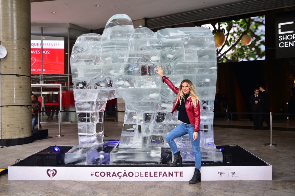 Giovanna Ewbank apoia causa dos elefantes em plena Paulista