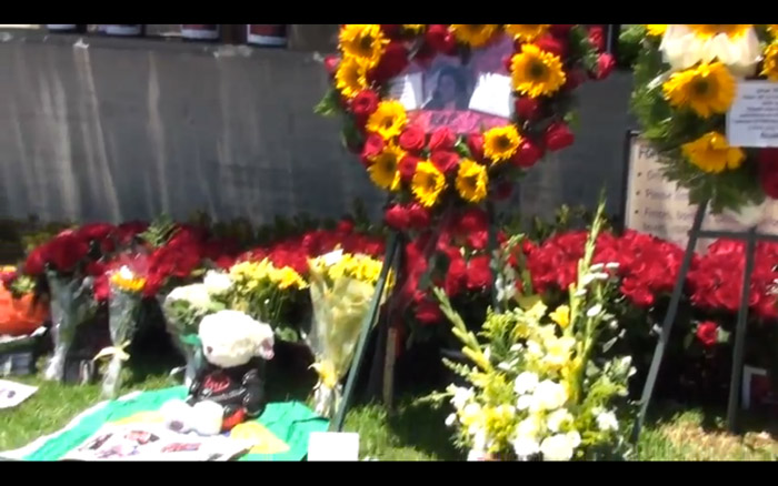 Fãs decoram túmulo de Michael Jackson com 10 mil rosas