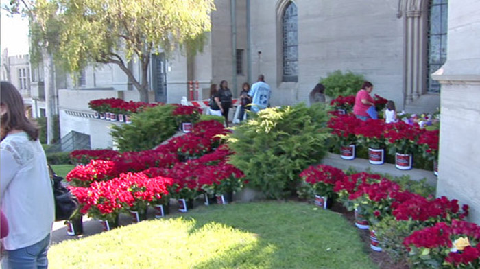 Fãs decoram túmulo de Michael Jackson com 10 mil rosas