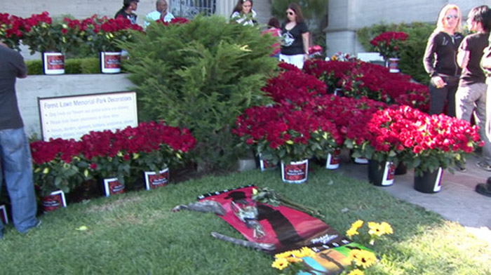Fãs decoram túmulo de Michael Jackson com 10 mil rosas