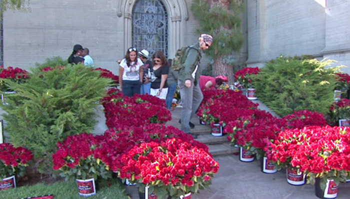 Fãs decoram túmulo de Michael Jackson com 10 mil rosas