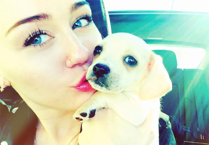 Miley Cyrus adota filhote e se encanta com a cachorrinha