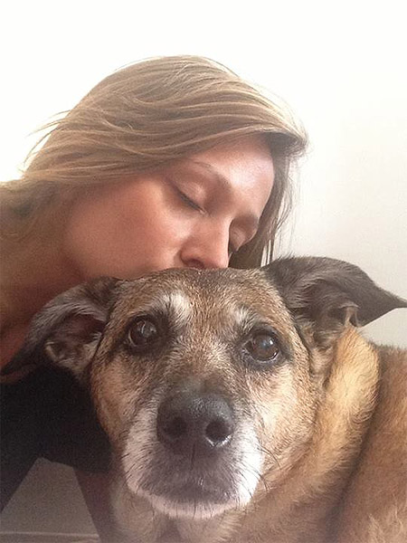 Luisa Mell se despede de cadela que inspirou o Late Show