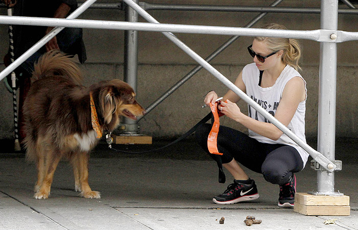 Passeando pelas ruas de NY, Amanda Seyfried recolhe cocô de seu cão