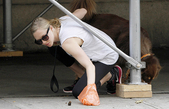 Passeando pelas ruas de NY, Amanda Seyfried recolhe cocô de seu cão