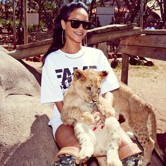 Rihanna posa ao lado de felino na África