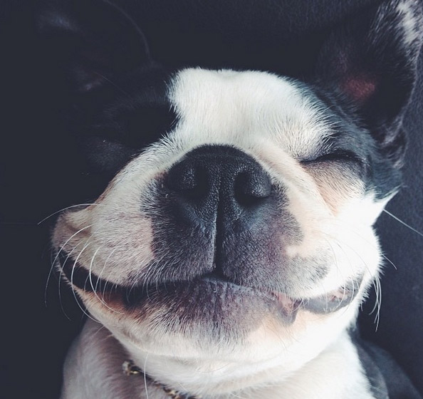 Júnior Lima comemora gravidez de sua irmã Sandy