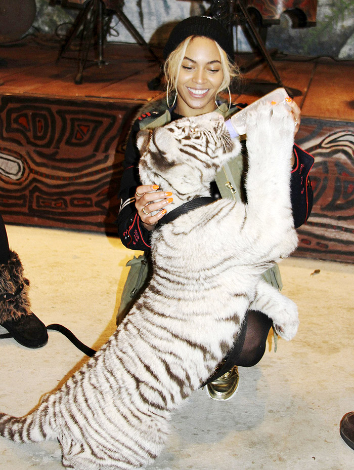 Beyoncé se encanta com animais exóticos no aniversário da filha. Veja ...
