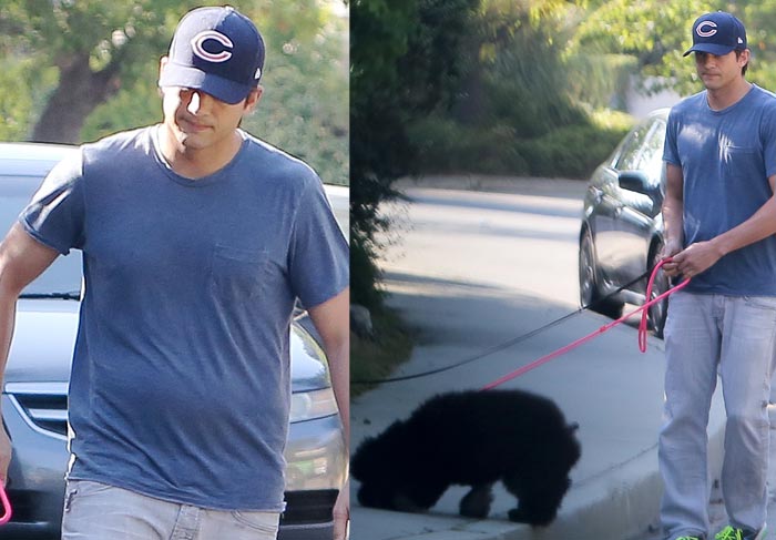 Ashton Kutcher passeia sozinho com seus cachorrinhos
