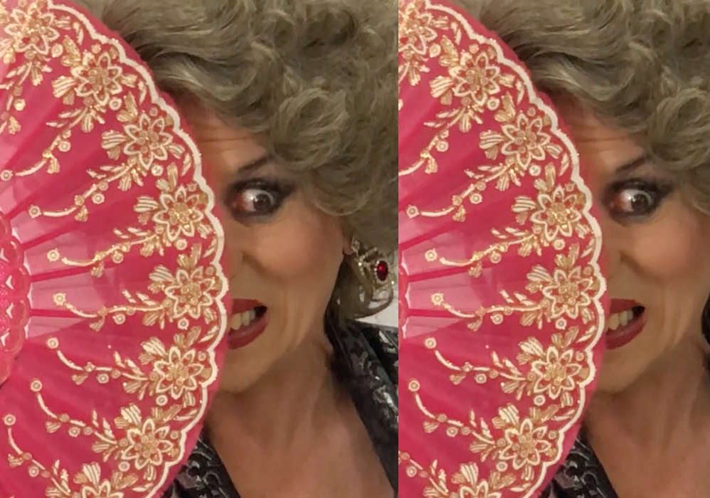 Neide Boa Sorte, a estrela que nasceu no programa da Hebe