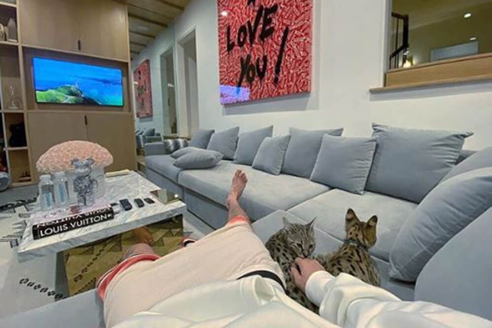 Justin Bieber na sala de estar, ao lado dos gatinhos