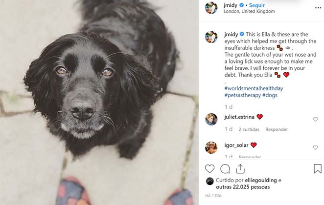 A cachorrinha Ella, que salvou a vida do irmão de Kate Middleton