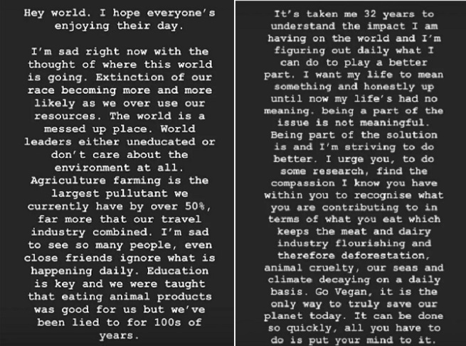 Publicação feita por Lewis Hamilton em seu Instagram Stories.