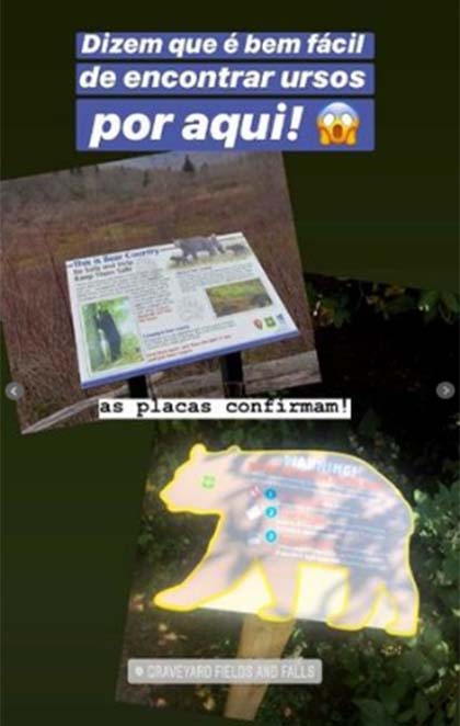 Mel Fronckowiak avisou que na região ursos podem ser vistos...