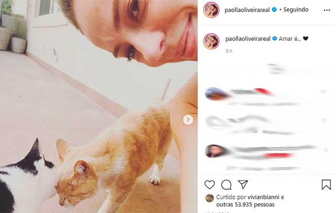 Paolla Oliveira encantou seguidores do Instagram ao posar junto dos gatinhos de estimação