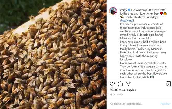 As abelhas de James Middleton