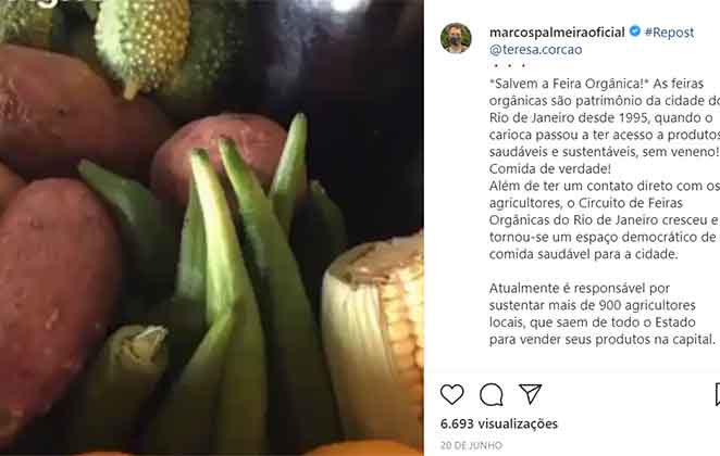 Legumes orgânicos: post de Marcos Palmeira