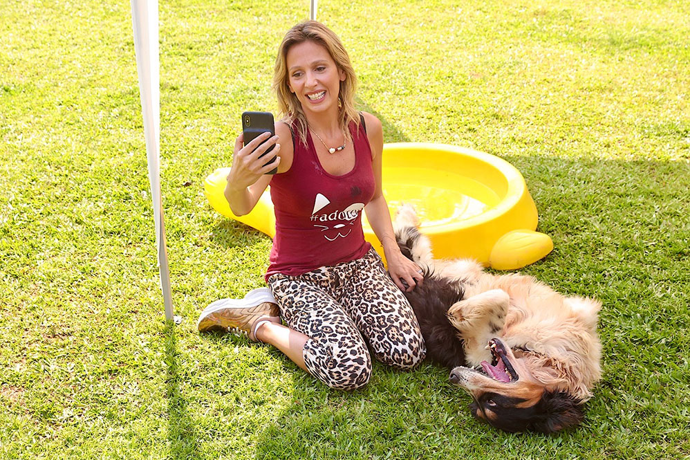 Rodeada de cães, Luisa Mell faz live em Ribeirão Pires