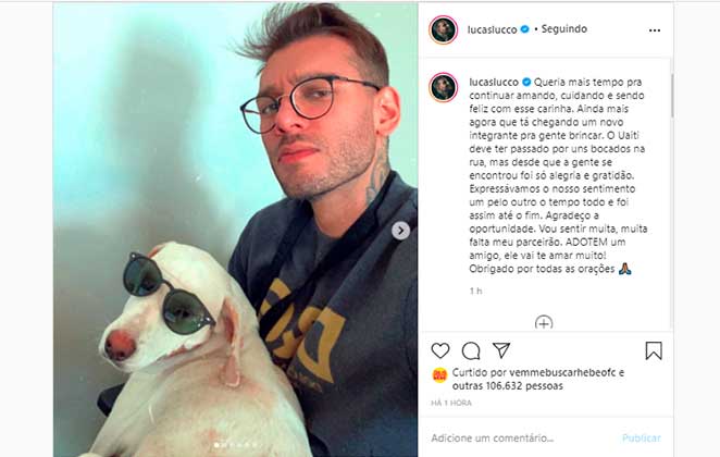Lucas Lucco contou aos seguidores do Instagram que seu pet Uaiti morreu