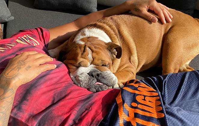 A boa vida de Roscoe