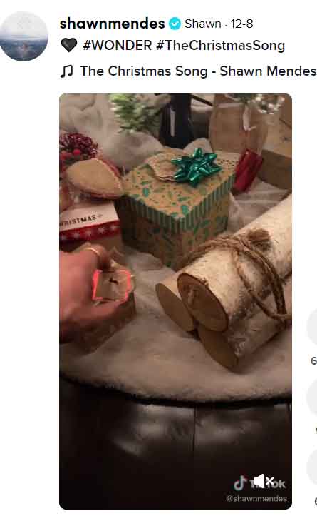 Shawn Mendes mostra presente de Camila na árvore de Natal