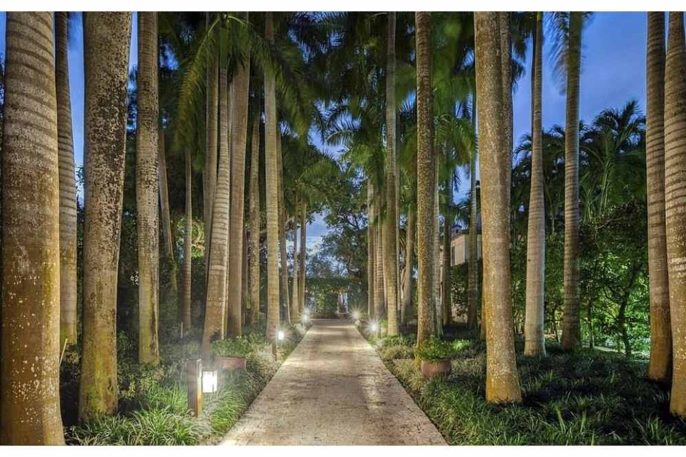 Um portão de ferro leva para uma floresta de coqueiros curvos e um lago de carpas