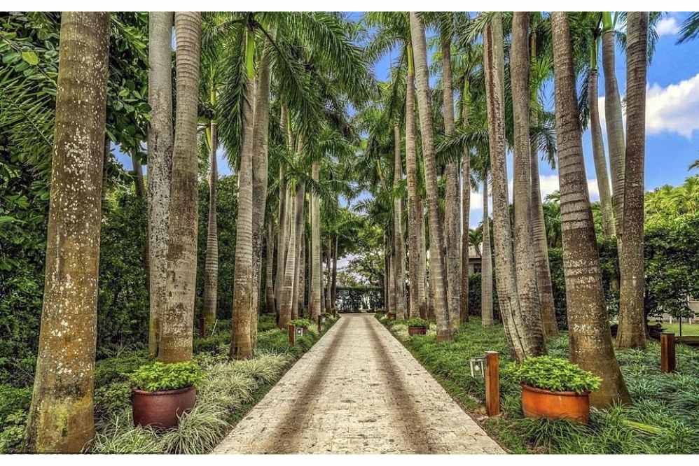 Conheça a mansão de US$ 40 milhões de Phil Collins