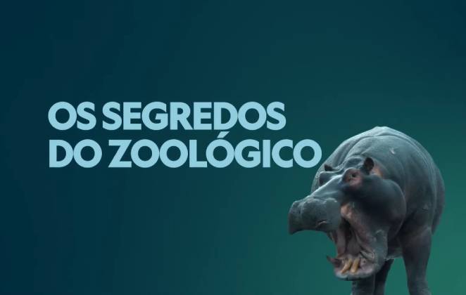 Cartaz de Os Segredos do Zoológico