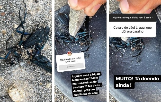 André Marques leva picada de inseto durante as gravações de No Limite