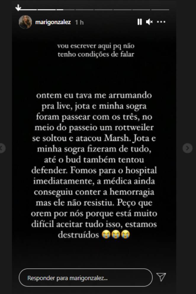 Mari Gonzalez lamentando morte do cachorrinho Marsh