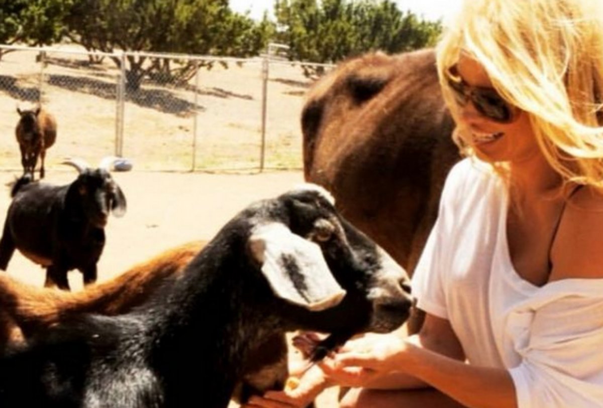 Pamela Anderson sorri em foto com animais