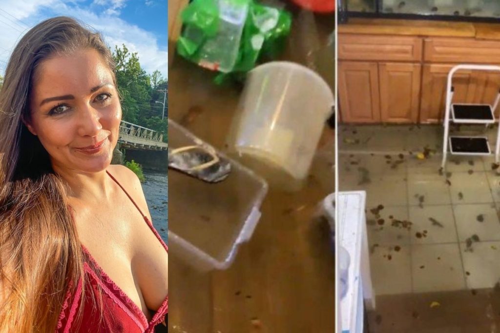 Nana Gouvêa mostra estragos que a tempestade em Nova York fez em sua casa