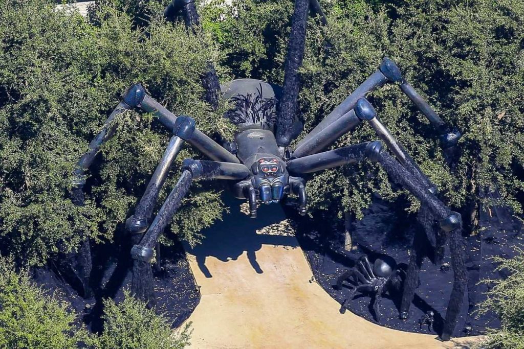 aranha gigante comprada para o quintal da casa nova de kim kardashian